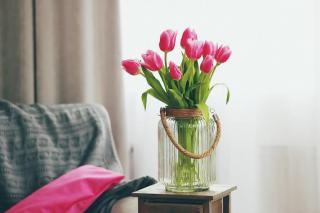 Csodás tulipánok