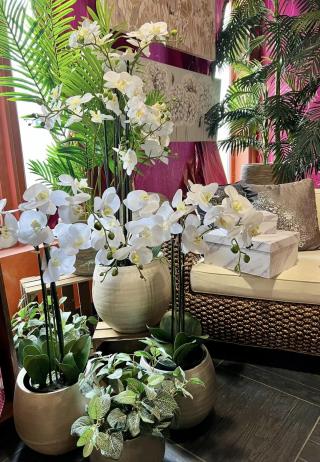 Gyönyörű élethű orchideák