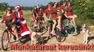 Szorgos manókat keresünk