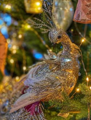 Békés, Boldog Karácsonyt kívánunk!