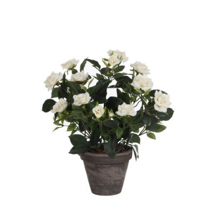 Fehér rózsa művirág cserépben
