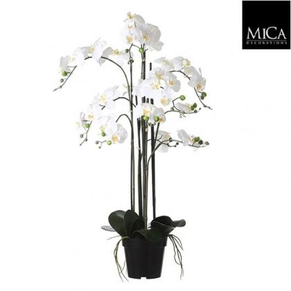 Fehér orchidea cserépben, orchidea művirág, élethű orchidea