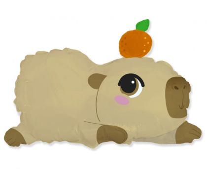 Kapibara lufi, capibara lufi, cappybara lufi