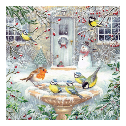 Papírszalvéta, téli szalvéta, karácsonyi madaras szalvéta (25x25 cm), 20 db, Joy bath