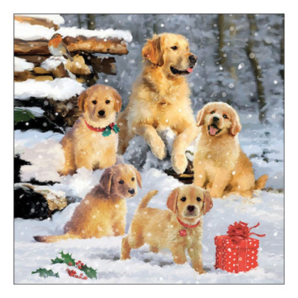 Papírszalvéta, karácsonyi szalvéta, kutyás szalvéta (több méret), 20 db, Golden retriever puppies
